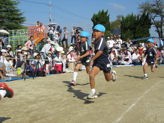 運動会を行いました