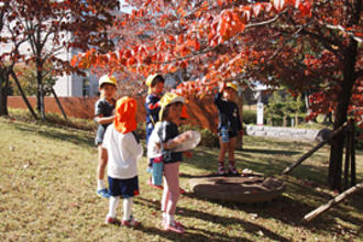 みどりの幼稚園を行いました