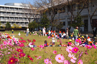 みどりの幼稚園を行いました