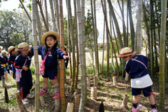 「みどりの幼稚園」で春を満喫しました