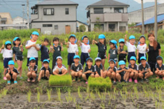 泥んこ田植え体験