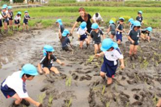 泥んこ田植え体験