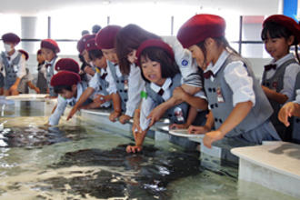 年中・年長児が秋の遠足で海遊館に行きました