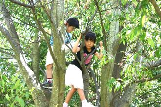 5月体験入園「みつばち・ぶん」を開催しました。