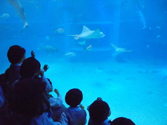 海遊館で楽しい一日