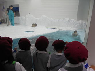 海遊館で楽しい一日