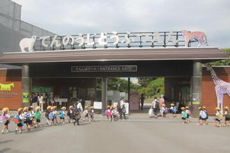 秋の遠足で天王寺動物園へ行きました