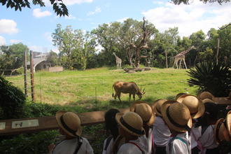 秋の遠足で天王寺動物園へ行きました