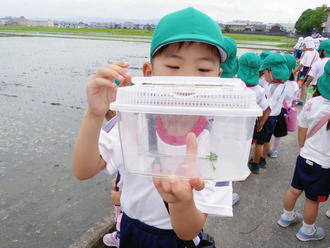 みどりの幼稚園を行いました