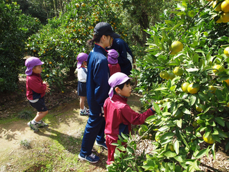 年中児が秋の遠足に行きました