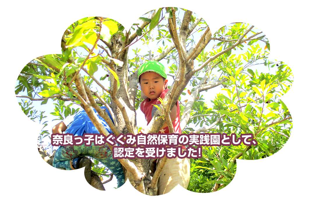 奈良っ子はぐくみ自然保育の実践園として、認定を受けました！